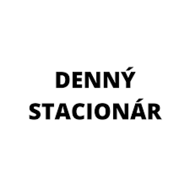 Menšia fotka pre článok Denný stacionár v Spišskej Starej Vsi