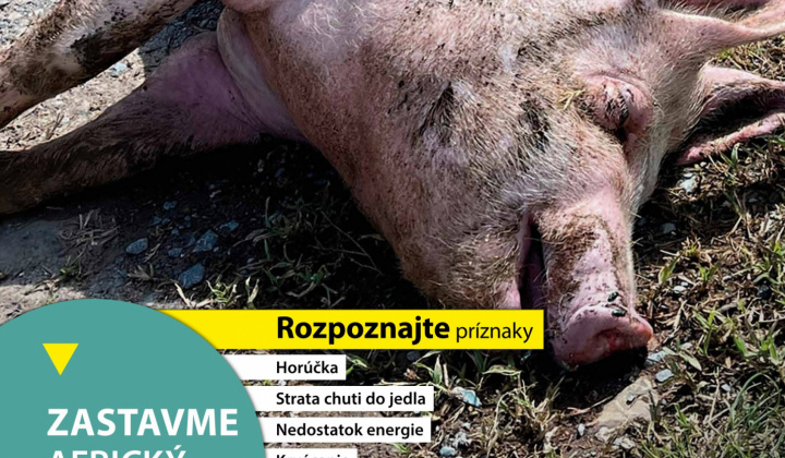 Aktuality / Africký mor ošípaných - zvyšovanie povedomia verejnosti, pol'ovníkov, chovateľov - foto