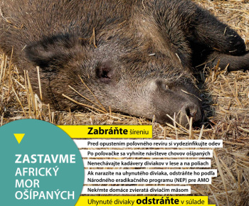 Odvodnenie z areálu ZŠ, MŠ a farského kostola