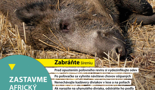 Odvodnenie z areálu ZŠ, MŠ a farského kostola 