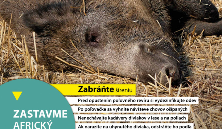Aktuality / Africký mor ošípaných - zvyšovanie povedomia verejnosti, pol'ovníkov, chovateľov - foto