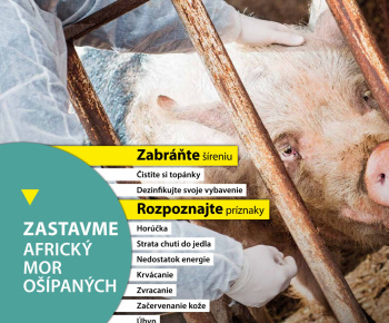 Odvodnenie z areálu ZŠ, MŠ a farského kostola