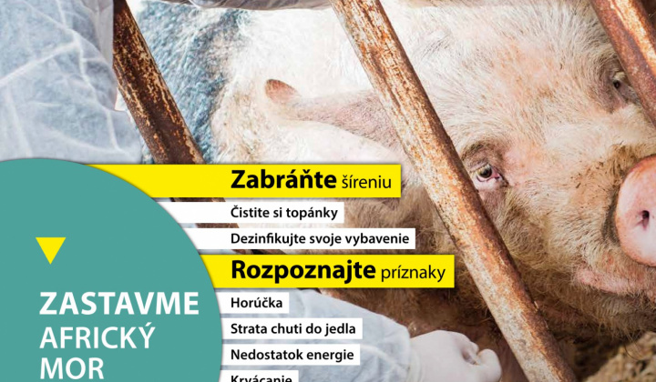 Aktuality / Africký mor ošípaných - zvyšovanie povedomia verejnosti, pol'ovníkov, chovateľov - foto
