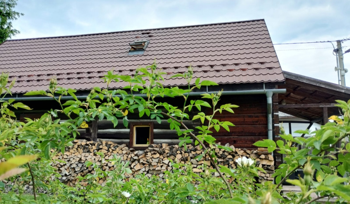 Cestovný ruch
