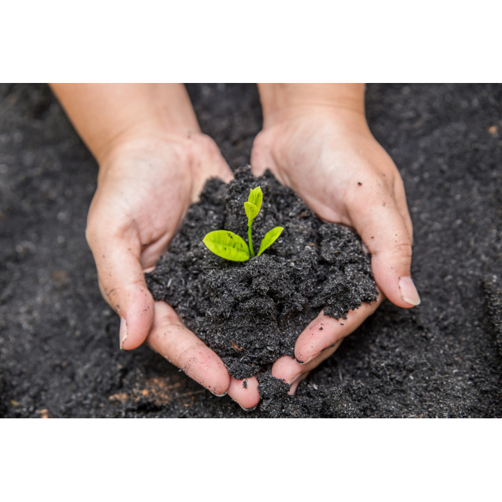 Menšia fotka pre článok Kompost bezplatne k odberu