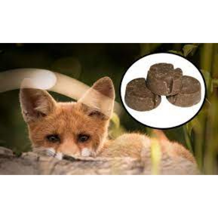 Menšia fotka pre článok Oznámenie o začatí jarnej kampane 2026 orálnej vakcinácie líšok proti besnote