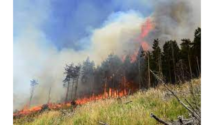 Fotka pre článok Zákaz vypaľovania trávy