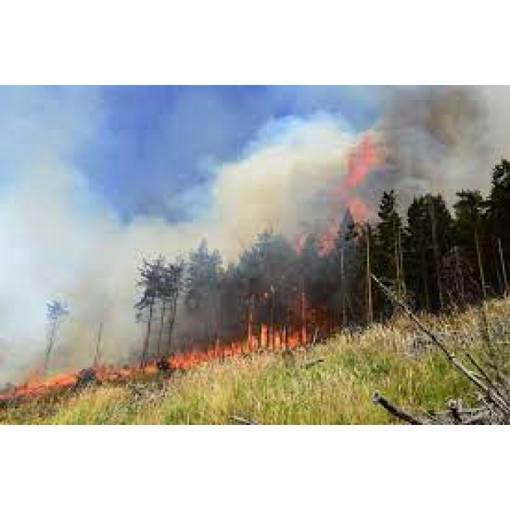 Menšia fotka pre článok Zákaz vypaľovania trávy